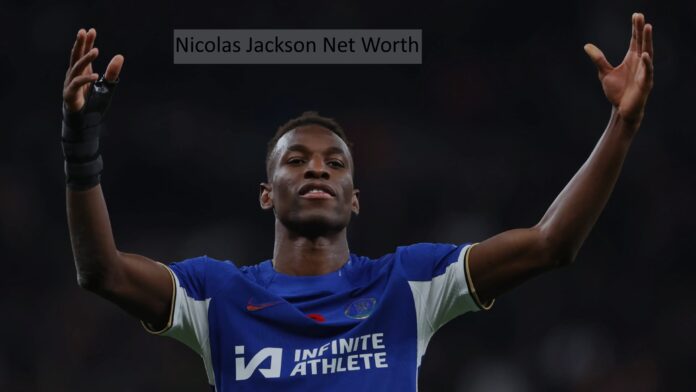 Nicolas Jackson Net Worth