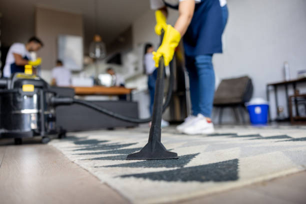 Why Hiring a Professional Cleaner in Bolton is a Smart Choice cleaning service