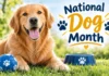 National Dog Month 2026: A Complete Guide to Dates, History, Meaning, Dog-Related Observances, Celebration Ideas, Safety Tips & Responsible Pet Care National Dog Month